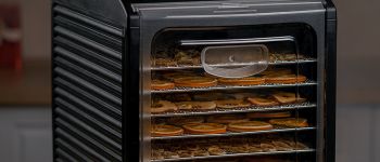 Купон на скидку 4000 ₽ на покупку дегидратора RAWMID