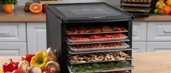 Оставьте лучший отзыв о технике RAWMID и выиграйте дегидратор!