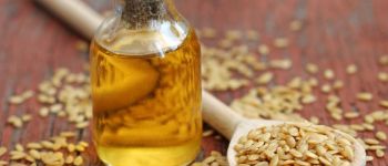 Топ 10 вопросов про маслопресс, ответы на которые вас удивят