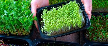 Натуральный уход нового поколения