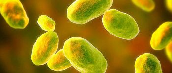 Что такое су-вид и почему он вызывает опасения?