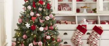 Подарок вегетарианцу, сыроеду или ЗОЖнику - как выбрать?