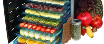 Всё о дегидраторах и сушилках