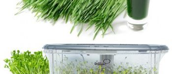 Всё о проращивателях