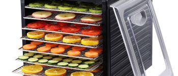 Может ли духовка заменить дегидратор для сушки продуктов?