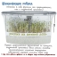 Микроферма RAWMID Dream Sprouter SDM-02 (проращиватель и выращиватель)