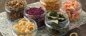 Как сушить фрукты и овощи в домашних условиях