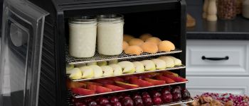 Как выбрать дегидратор?