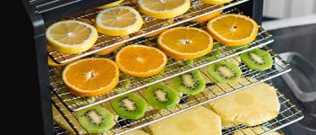 Дегидратор для диет и занятий спортом