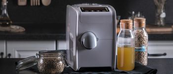 Домашнее растительное масло – выгоднее, чем покупное