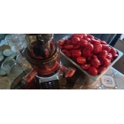 Шнековая соковыжималка RAWMID Dream Juicer Modern JDM-80