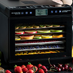 Дегидратор сушилка RAWMID Modern RMD-07 прозрачная дверца